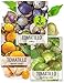 Tomatillo Duo, Purple & Grande Rio Verde Tomatillo Seeds (Physalis ixocarpa) Non-GMO Seeds by Seed Needs
