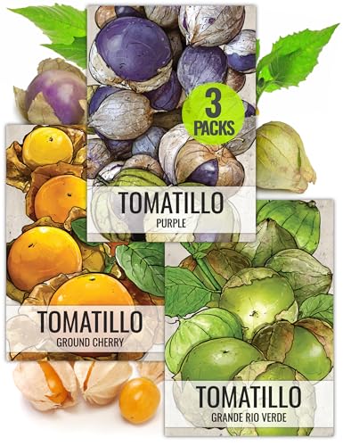 Seed Needs Tomatillo Seeds for Planting Variety Pack - Heirloom Non-GMO & Untreated - Grow an Outdoor Vegetable Garden (3 Packs)