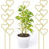 Mik-Nana Heart Shape Trellis for Potted Plants, Small Metal Trellis for Climbing Plants Indoor, Mini