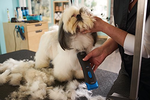 Oster Pro 3000I Cordless Pet Clippers With Size 10 Cryogenx Blade (078003-100-000) #TOP3