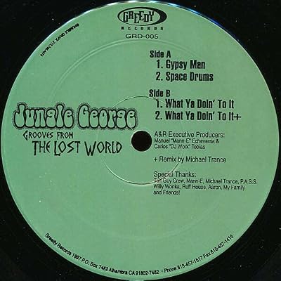 Grooves From The Lost World