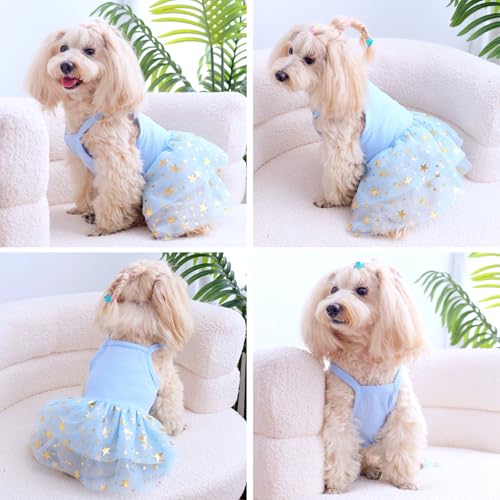 Tutu-Kleid für Hunde und Katzen, Sommer, Tüll, Slip-Spitzenkleid, niedlicher Welpe, Glitzerstern, Rock, Haustier-Partykleidung für kleine, mittelgroße Katzen, Hunde (blau, groß)