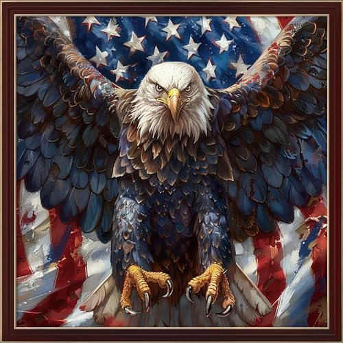 Image of Leczany Cross Stitch Patterns Stamped Kit for Beginners | Embroidery Supplies DIY Craft Kit Needlepoint for Adults Starter | 11CT, 3 Strands | Eagle Spreads its Wings 19.7x19.7 inches