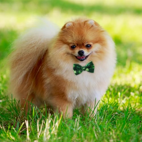 Disfraz para perro Día de San Patricio con pajarita y bandana miniatura 5