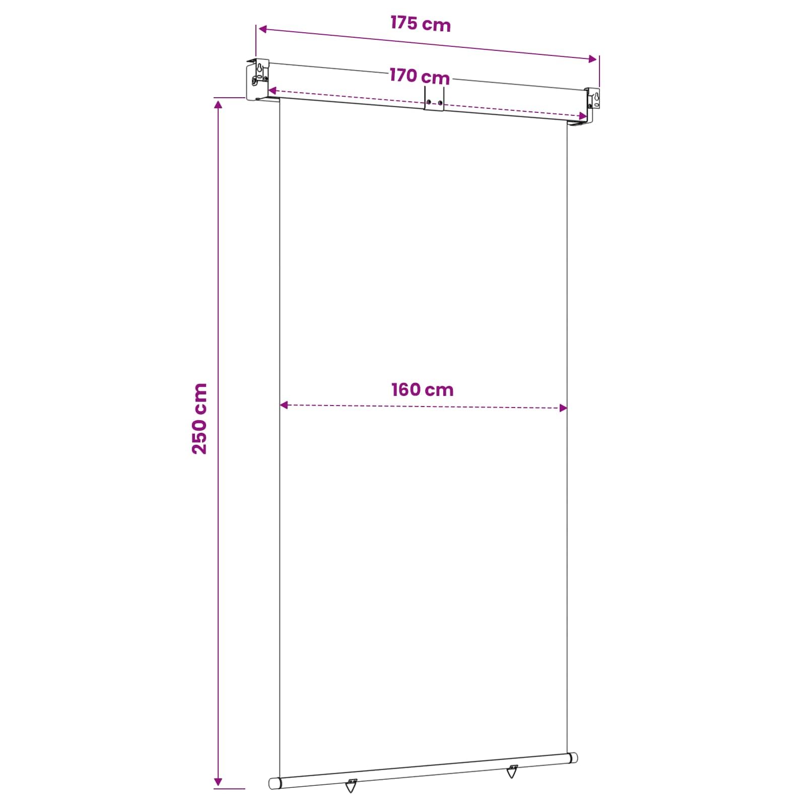 vidaXL Markiza boczna na balkon 170 x 250 cm