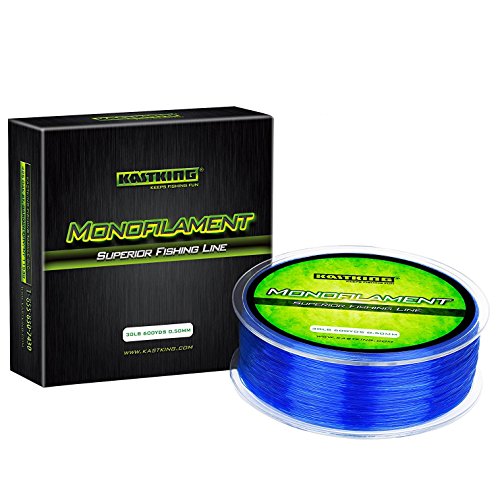 Best Monofilament Fishing Line For Saltwater Reviewed for 2023