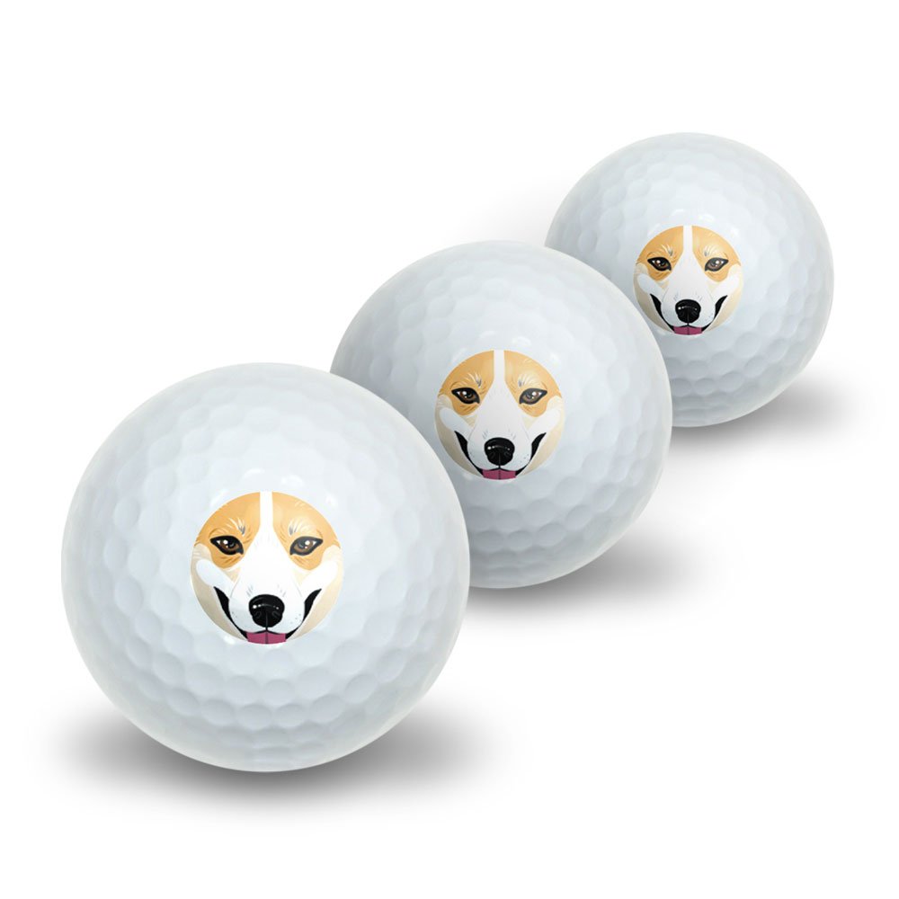 GRAPHICS & MORE Pembroke Welsh Corgi Face - Dog Pet Novelty Golf Balls 3 Pack