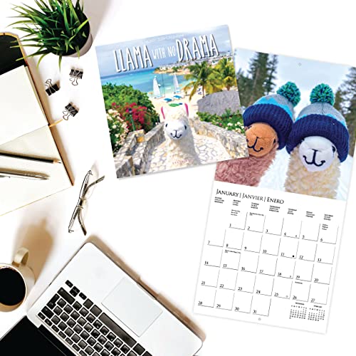 Graphique 2024 Llama with No Drama Wall Calendar - Image 3
