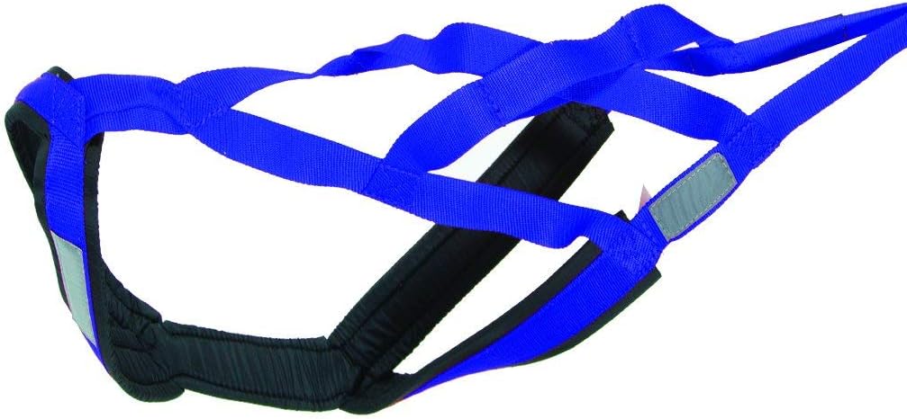 Neewa X-Back Racing Harness - Small/Medium, Blue | Comfortable, Reflective Gear for Slim, Long-Bodied Dogs | Ideal for Canicross, Skijoring | Neck 13in, Chest 28in, Back 23in