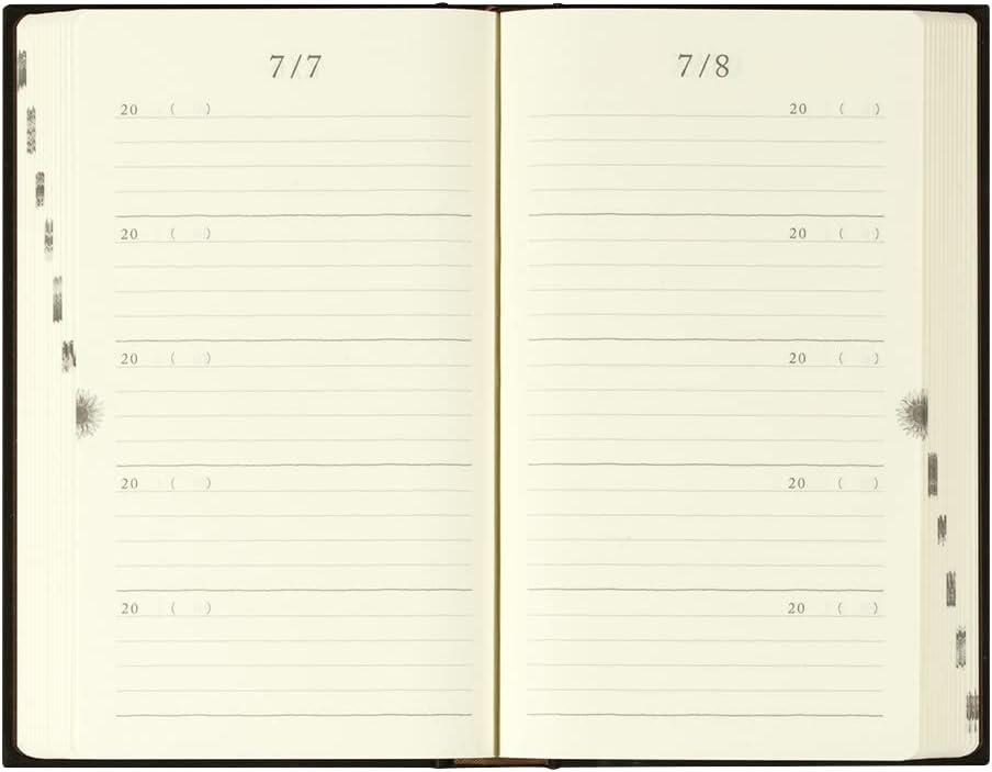 Midori 12396006 Diary for 5 Year Consecutive Use, Door, Black