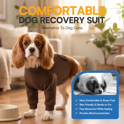 Image of Queenmore Dog Surgery Recovery Sleeve Front Legs, Breathable Dog Recovery Sleeve, Elbow Protector Pet Cone Alternative After Surgery, Brown, M