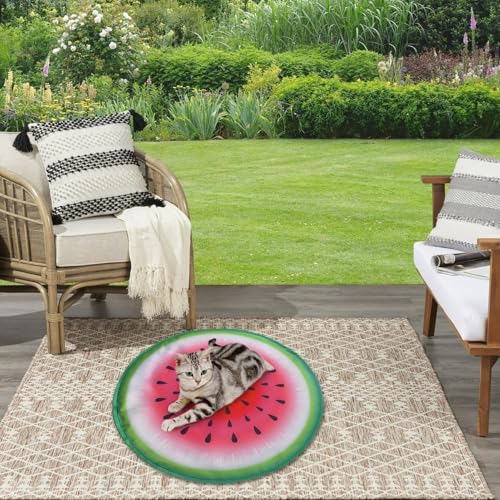 Tapis rafraîchissant pour chien réutilisable matelas auto-refroidissant
