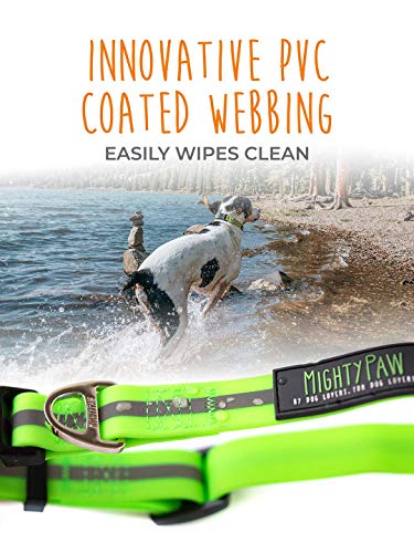 Mighty Paw Waterproof Dog Collar, Smell-Proof Active Dog Gear, Coated Nylon Webbing With Reflective Stripe. (Green, Large) #TOP3