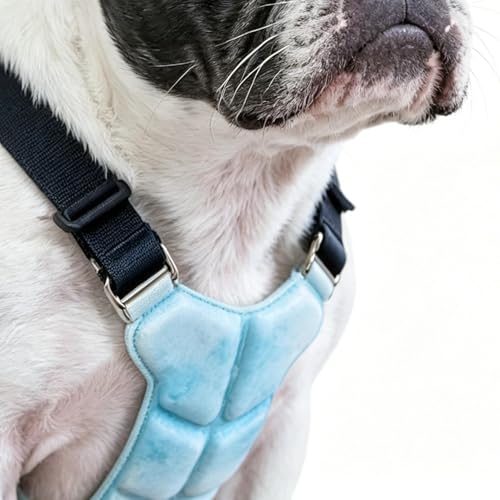 Chaleco refrescante para perros con bolsas de hielo regulables de paseo 8
