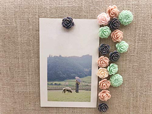 24Pcs Decorative Pushpins,Cork Board Tacks,Bulletin Board Tacks,Thumb Tack Decorative For Corkboard, Office Organization Or Home #TOP3