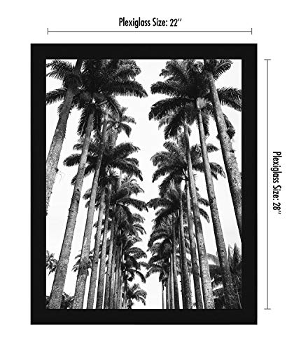 Americanflat 22x28 Poster Frame with Polished Plexiglass - Black Picture Frame - Wide Photo Frames Made of Engineered Wood for Vertical or Horizontal Wall Display - Epic Collection - Black