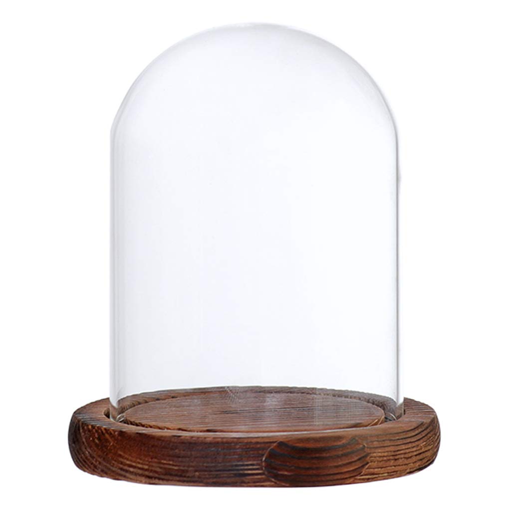 Fenteer Glashaube Glasglocke Glassturz mit Holzboden DIY Landschaften Fairy Garten Terrarium, Braun B