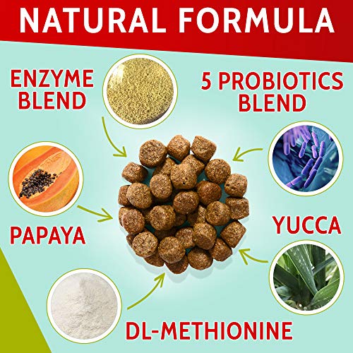 Image of PAWFECTCHEW Dog Pee Grass Helper - Grass Treatment for Dog Urine - Dog Urine Neutralizer for Grass Burn Spots - Dog Pee Lawn Repair Treats with Probiotics - Made in USA - 120 Chews
