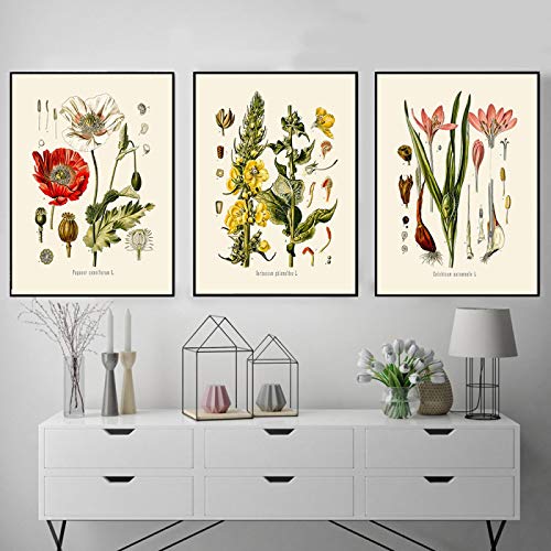 Toile peinture mur art photos dsdsgog pour raviver un mur vide 30x45cm