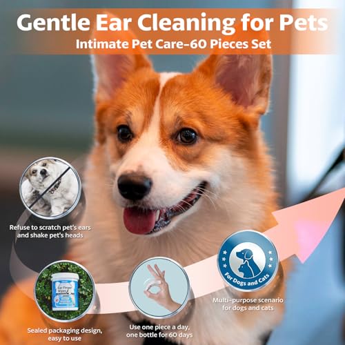 Image of OBSEDE Ear Finger Wipes for Dogs & Cats, 120 Count, Alcohol Free Pet Care | Coconut Oil Infused, Gentle Ear Cleaning, Finger Applicator Design, Daily Pet Grooming, Indoor Outdoor Use, Easy Application