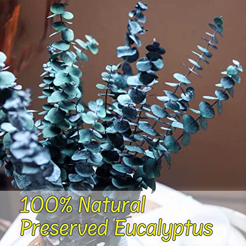 Preserved-Dried-Eucalyptus-Branches,17" 100% Natural Fresh Eucalyptus Plant For Shower, Real Eucalyptus Bunch For Vase Filler, Greenery Stem , Dried Flowers Arrangement, Floral Home Decor (16Pcs Bule) #TOP1