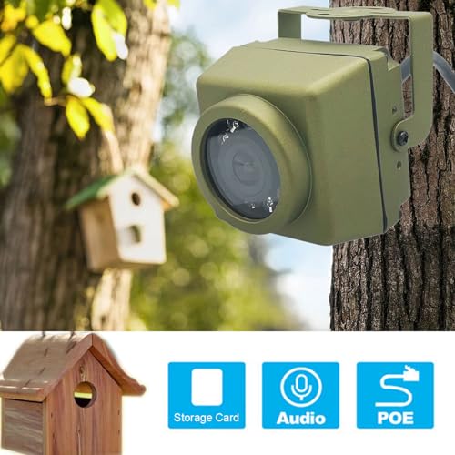Bird House Camera, Bird Camera WIFI Surveillance Camera Night Vision Without Red Exposure - Image 3