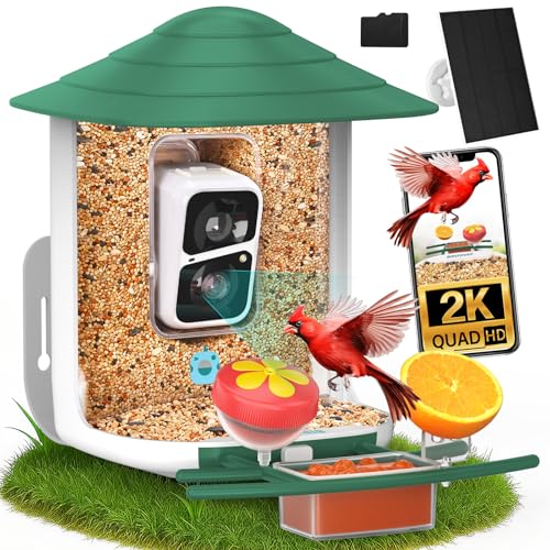 birdsnap® TUC Bird Feeder with Camera 2K HD, Solar Panel 32GB Card 4-in-1 Perch, 160°View Auto Detect & Notify AI Identify Video Bird Camera Wireless Outdoors Ideal Gift for Birds Lover