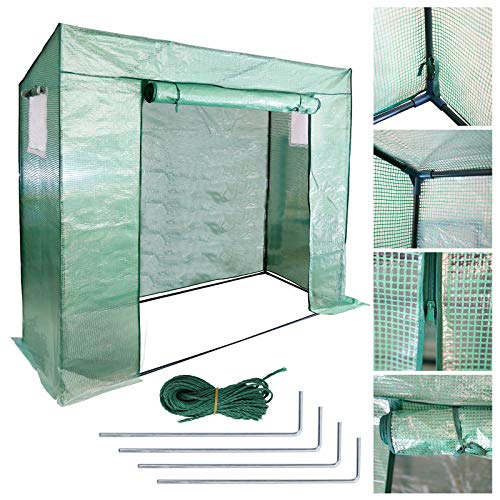 ISOISL Gewächshaus mit 140g PE-Folie Foliengewächshaus 200x80x170CM Stahlrohr 16 mm Durchmesser aufrollbare Tür Tomatenhaus begehbares Treibhaus Pflanzenhaus Grün