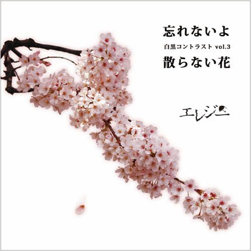 Amazon 忘れないよ 散らない花 エレジー ミユキ ごっちょ エレジー J Pop ミュージック