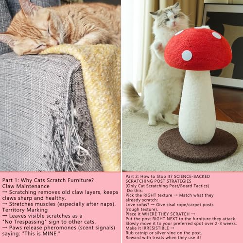 Rascador para gato con diseño seta rojo 7 niveles miniatura 5