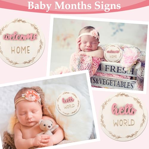 Image of 7 Pcs Months Baby Milestone Signs, 3D Pink Baby Monthly Milestone Cards Milestone Wooden Circles for Newborn Boy Girl 1-12 Months Baby Milestone Pictures (Double Sided)