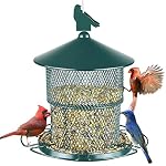 Bird Feeders