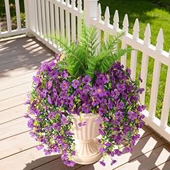 Purple Daisy With Fern