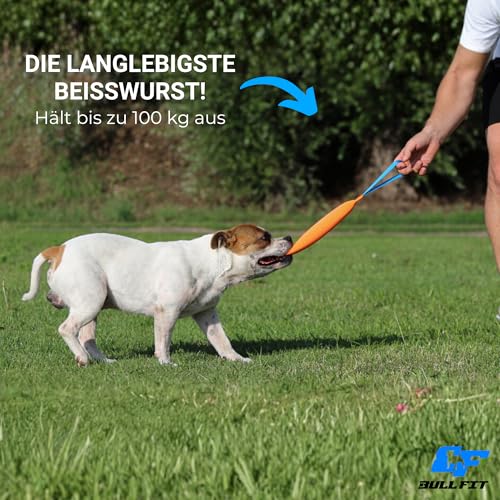 Bull Fit Beisswurst für Hunde, 30 cm mit Handschlaufe - Sehr Robustes Hundespielzeug zum Training, Tauziehen und Zerrspiele mit Hund - Aus hochwertigem Feuerwehrschlauch handgefertigt, orange