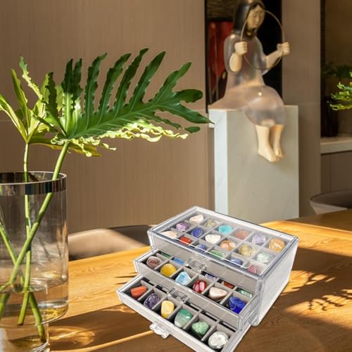 Vitrine d'exposition pour roches et fossiles à 54 compartiments