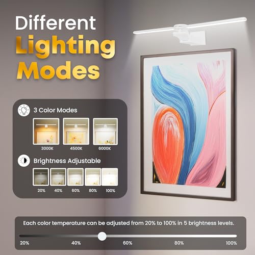 Image of 2 Pack Picture Light for Wall, 18in Rechargeable Wall Art Light with Timer and Dimmable, Painting Frame Light with Remote Control Display for Painting, Frame, Portrait, Dartboard(White)