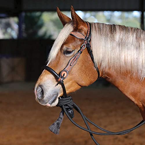 Schneiders Double S Tooled Browband Bosal Set | Complete Equestrian Set | 2-Tone Tooled Design | Adjustable Bridle | Soft Leather-Wrapped Bosal | Quality Poly Rope Mecate