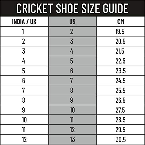 Image of DSC Beamer Cricket Shoes for Mens (Light Weight | Economical | Durable)