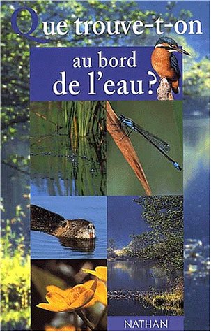 Que trouve-t-on au bord de l'eau ?