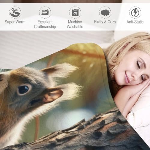 Couverture polaire écureuil pour cocooning sur canapé et lit doux