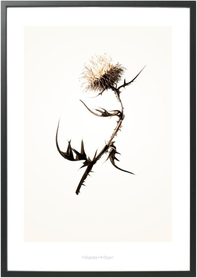 Hagedornhagen Art Print - 'Gold' Series #2-16.5" x 23.2"