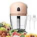 Mini Hachoir Electrique,260ML Petit Hacher,3.7V Mixeur Portable Mini Blenders Avec 3 Lames MéLangeur,Usb Rechargeable,Pour Noix Oignons Fruits Carotte Viande Aliments Pour Bébés