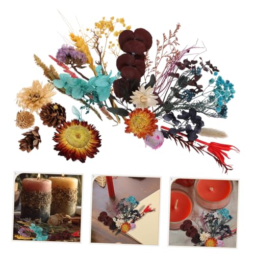 2 cajas de flores secas surtidas para manualidades DIY miniatura 6