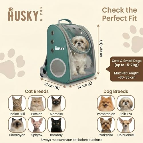 Image of Husky & Purr Cat Bag Carrier Backpack, Green | Collapsible Breathable Pet Carrier Backpack | Anti-Scratch Transparent Cat Carrier Bag for Travel, Up to 7kgs