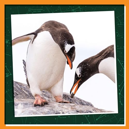 『Winter Wonders: Get Silly with Penguins』のカバーアート