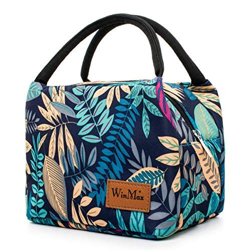 Isolierte Lunchtasche - Faltbare Kühltasche Für Büro & Picknick