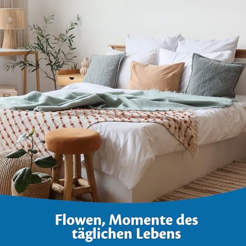 Flowen Kopfkissen 48x74 cm Kissen für Bett 48 x 74 2er Set Bettkissen Hypoallergene Anti-Milben Weiche Kissenfüllung mit Weicher Gesteppter Kopfkissenbezug 100% Polyester Schlafkissen