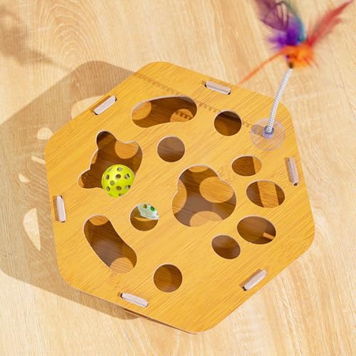 Fournitures de jeu pour chaton avec lime à ongles pour dresseurs et refuges - 4