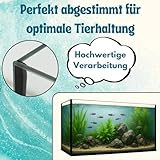 Aquarium Becken rechteckig standard Größen Glasbecken Glas Aquarienbecken - 5