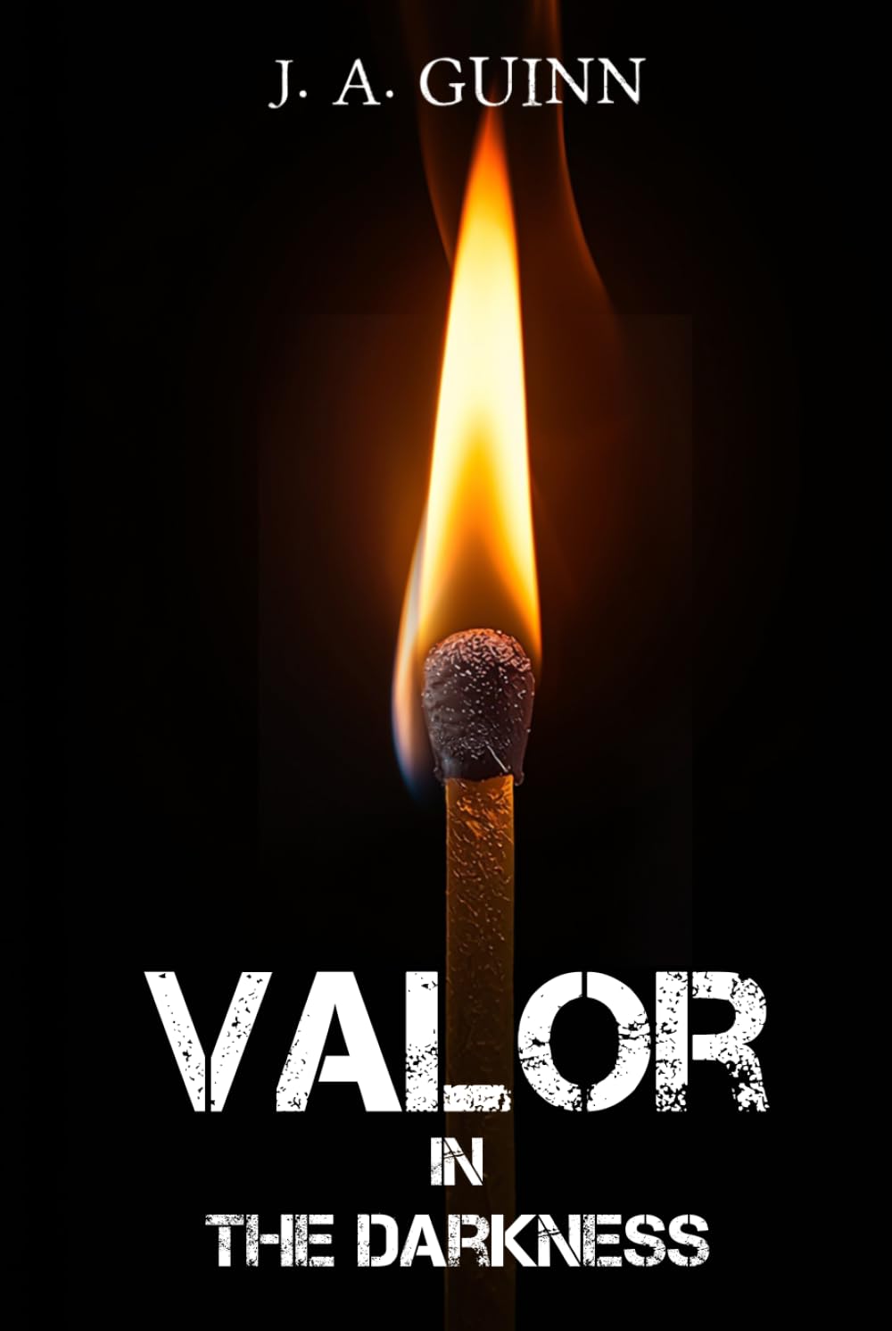 Volar in the Darkness